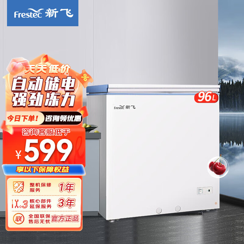 新飞(frestec)冷藏冷冻转换迷你家用冰柜小冷柜节能省电单温家用商用