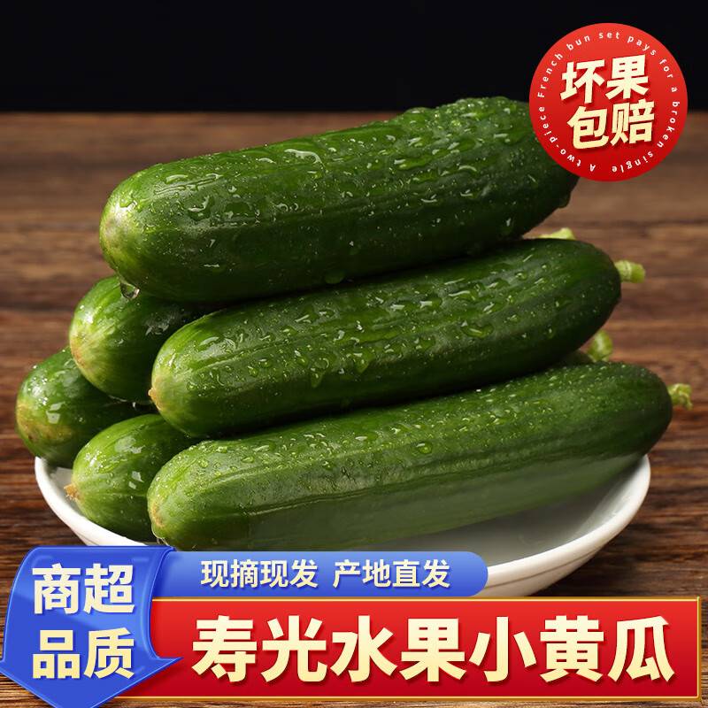 泽华果品（ZEHUAGUOPIN）山东荷兰水果小黄瓜 新鲜果蔬生鲜现摘现发 水果小黄瓜 4.5斤 净重