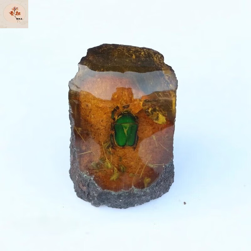 春甜人工琥珀虫珀摆件 吊坠工艺品昆虫甲虫标本办公室客厅摆件