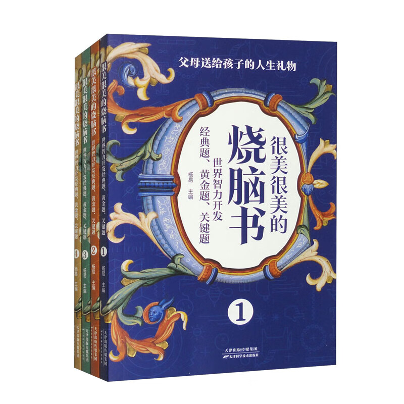 很美很美的烧脑书（全4册）世界智力开发经典题、黄金题、关键题