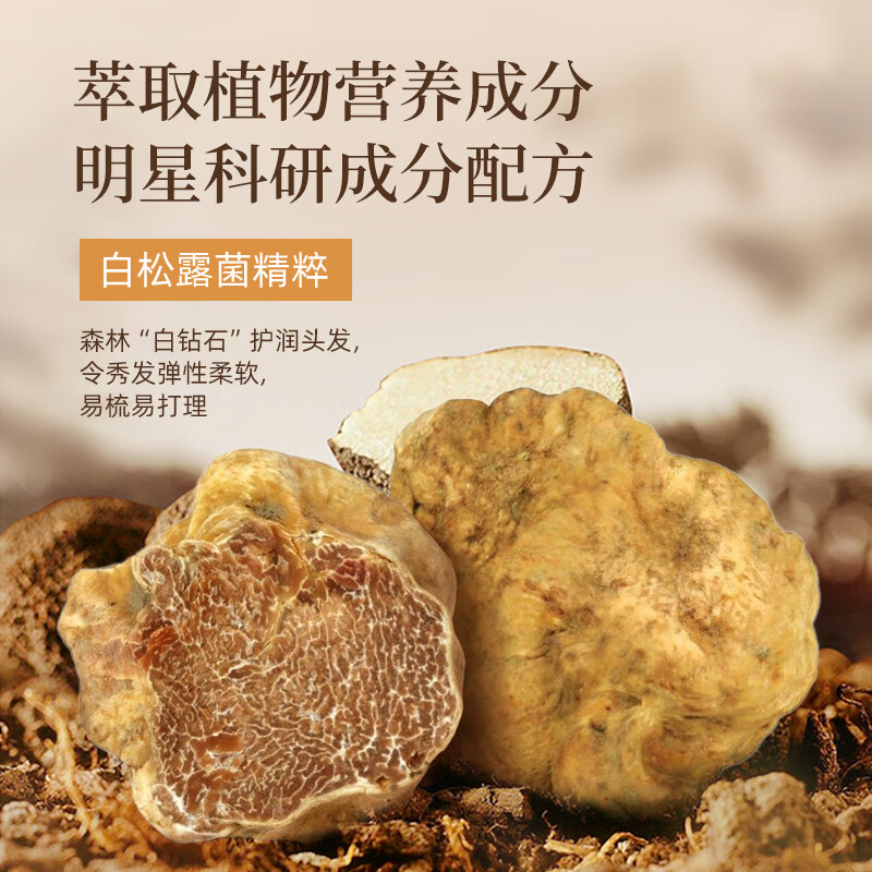 采乐控油洗发水清爽蓬松去屑洗发露丰盈蓬松白松露洗发乳高颅顶 【控油蓬松】白松露洗发水 500ml*1瓶