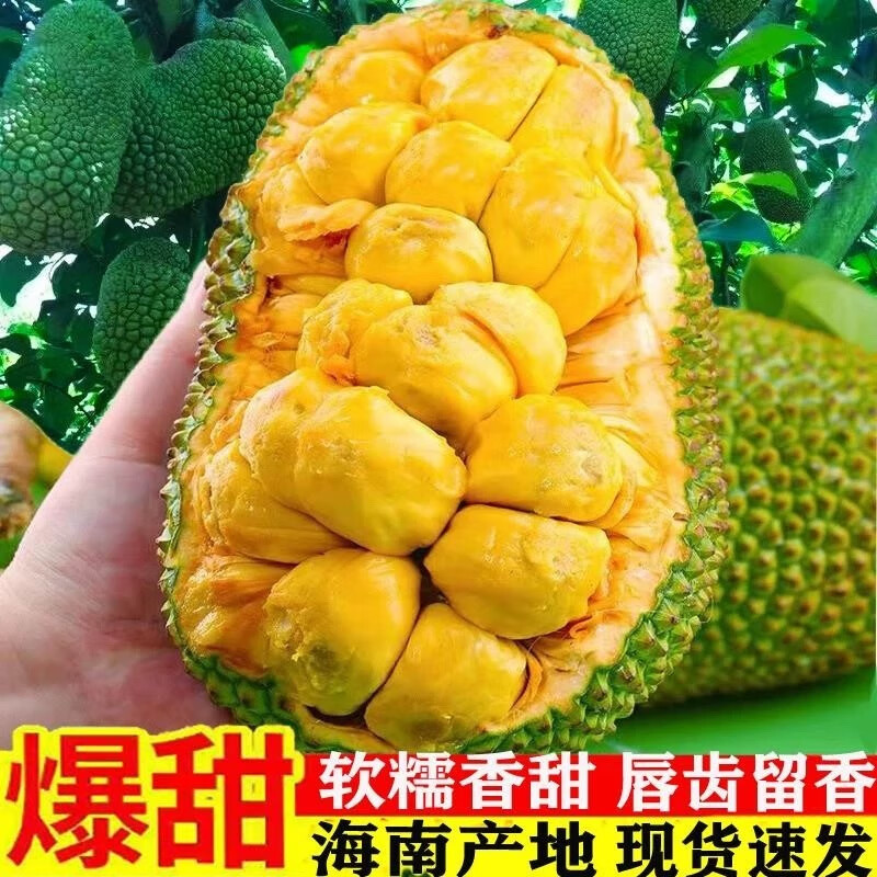 �����ز������� ���ʵ���ˮ�� ������ʪ�� ������ 1-2�� ���� �ȴ���Ŵ 67.31Ԫ