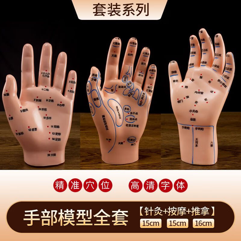 手足耳穴位模型足部耳模手经络手部按摩推拿针灸足底脚模反射区 手部