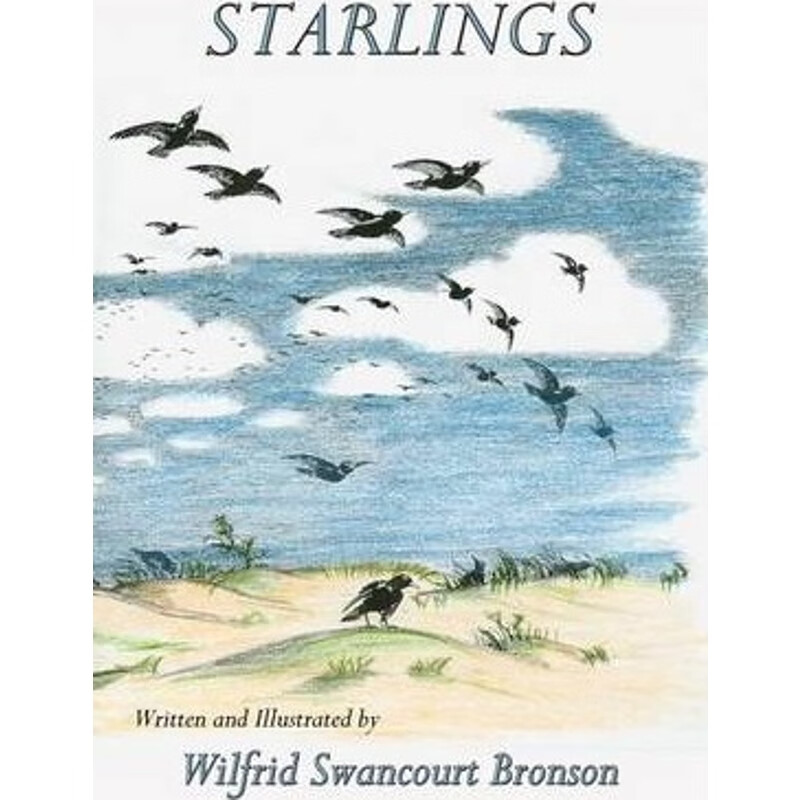 预订预订Starlings