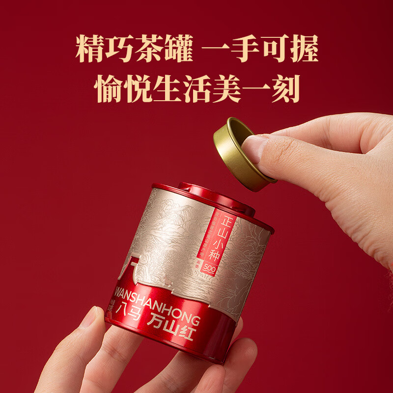 万山红 特级 武夷红茶 金骏眉 茶叶自己喝 送礼 【曾黎同款】三大口味组合90g
