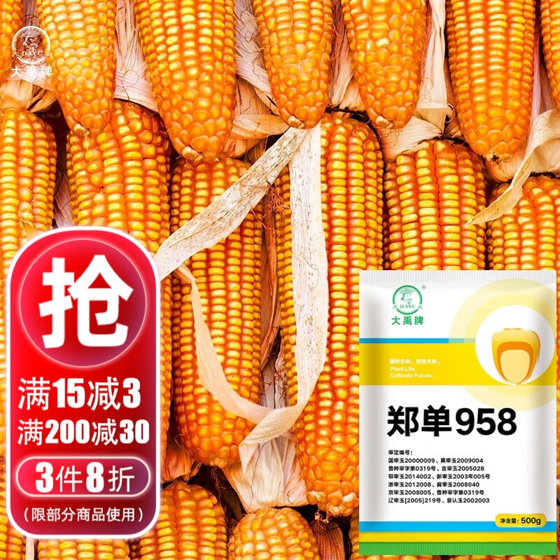 大禹郑单958玉米种子500g有包衣