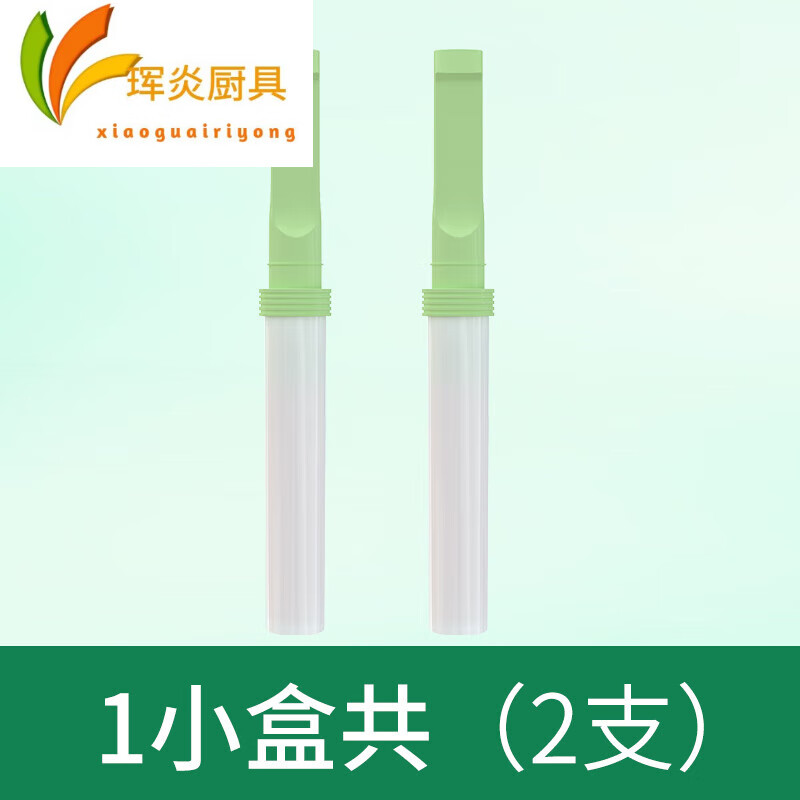 文枝戒烟器神器电子棒诤友薄荷味辅助产品烟嘴一次性过滤嘴戒烟的 薄荷味 体验装 2支装