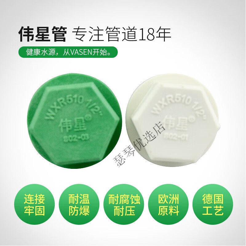 伟星管业4分ppr冷热水管自来水管管件闷头配件1/2丝堵堵头20 绿色(带