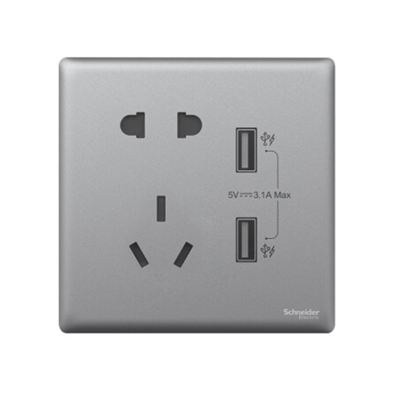 施耐德电气珍铂系列烟云灰usb带保护门二/三极插座(两a口)np142610u2