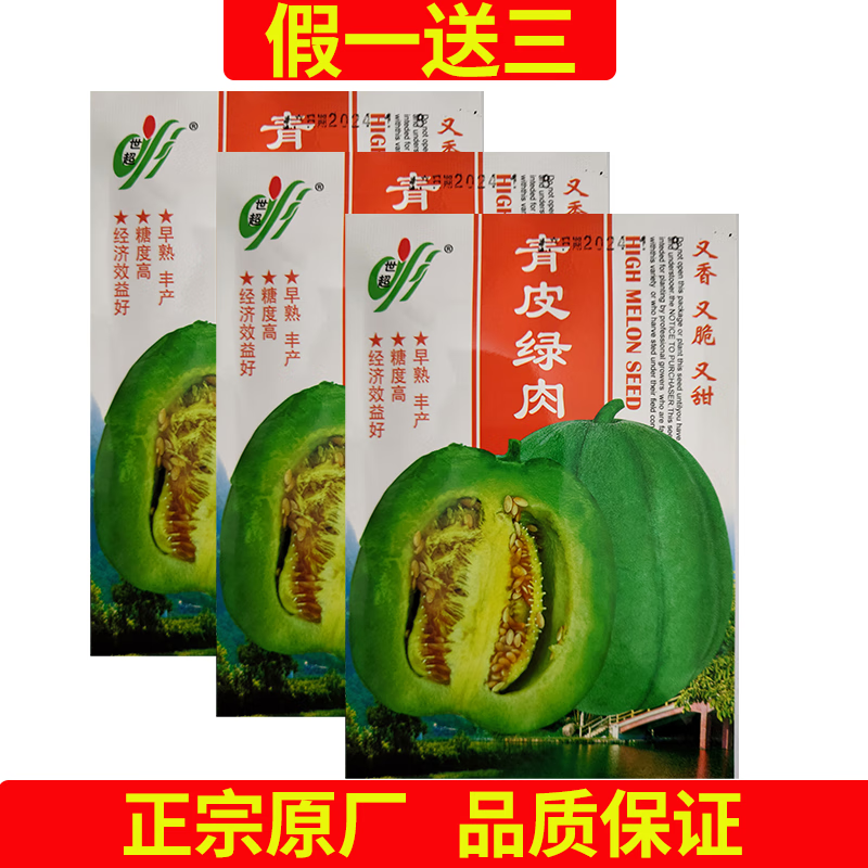 早熟甜瓜种子 薄皮脆甜香瓜种籽 绿宝石四季水果 青皮绿肉 甜瓜种子