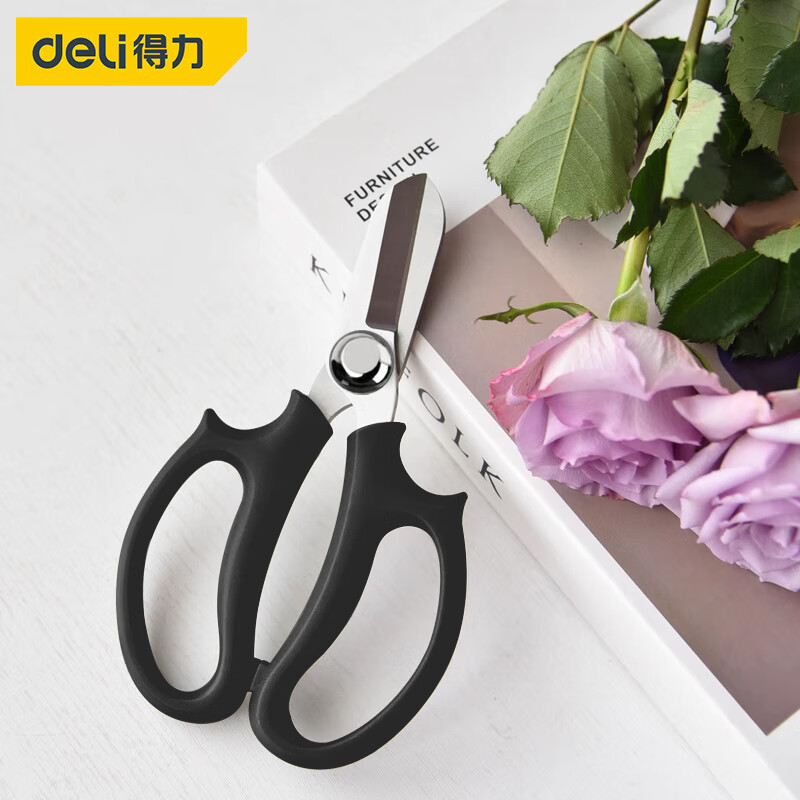 得力（deli）修花剪刀園藝花藝剪鮮花插花家用剪花草花店專用工具 花枝剪 DL580100A