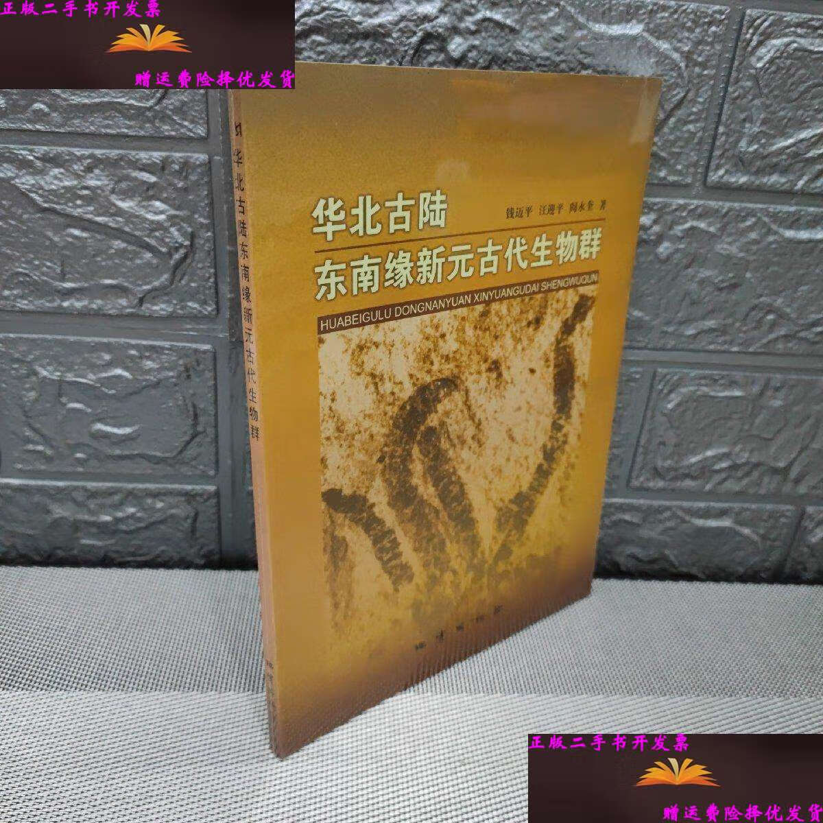 【二手9成新】华北古陆东南缘新元古代生物群, /钱迈平 地质