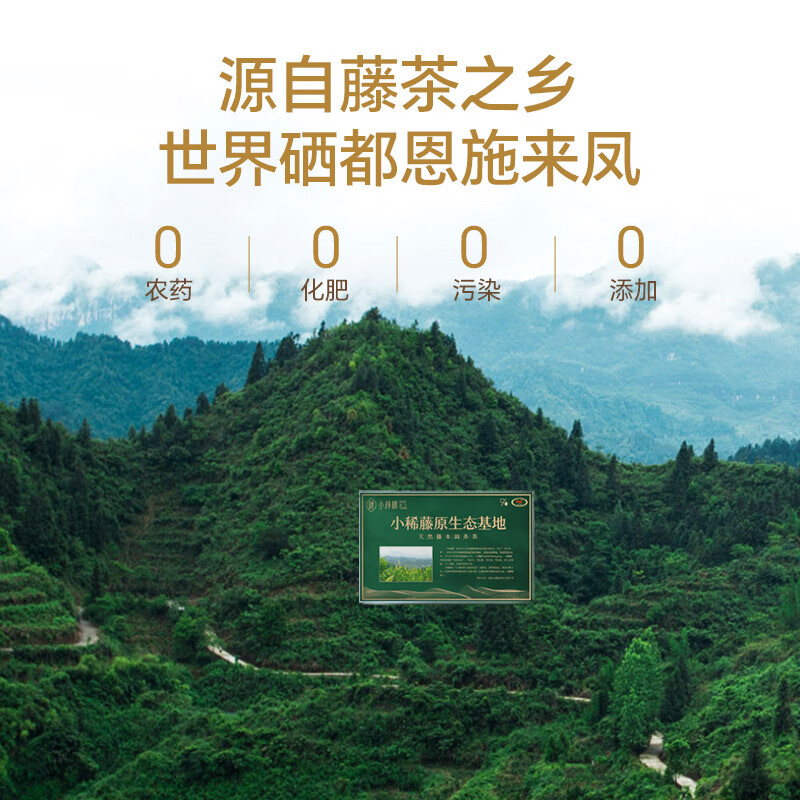 小稀藤 恩施来凤龙须藤茶芽尖土家莓茶2025新茶独立小袋【中秋送礼】 回购实惠装(52g*6袋买送好礼)