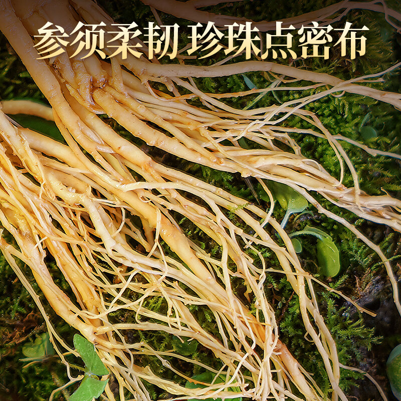 长白山人参泡酒料人参或野山参+鹿茸+锁阳+当归+枸杞+灵芝+玛咖不替代药材 保鲜人参150g礼盒+6味泡酒材料