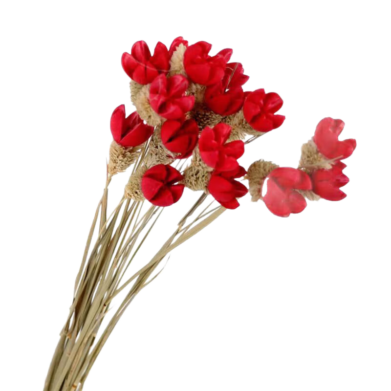 ������AIMAN�� ins��ɻ������ҾӰ���С���¿����廨����װ��Ʒ������������ 18֦���Ĺ�_��ɫ ����֦ 19.4Ԫ