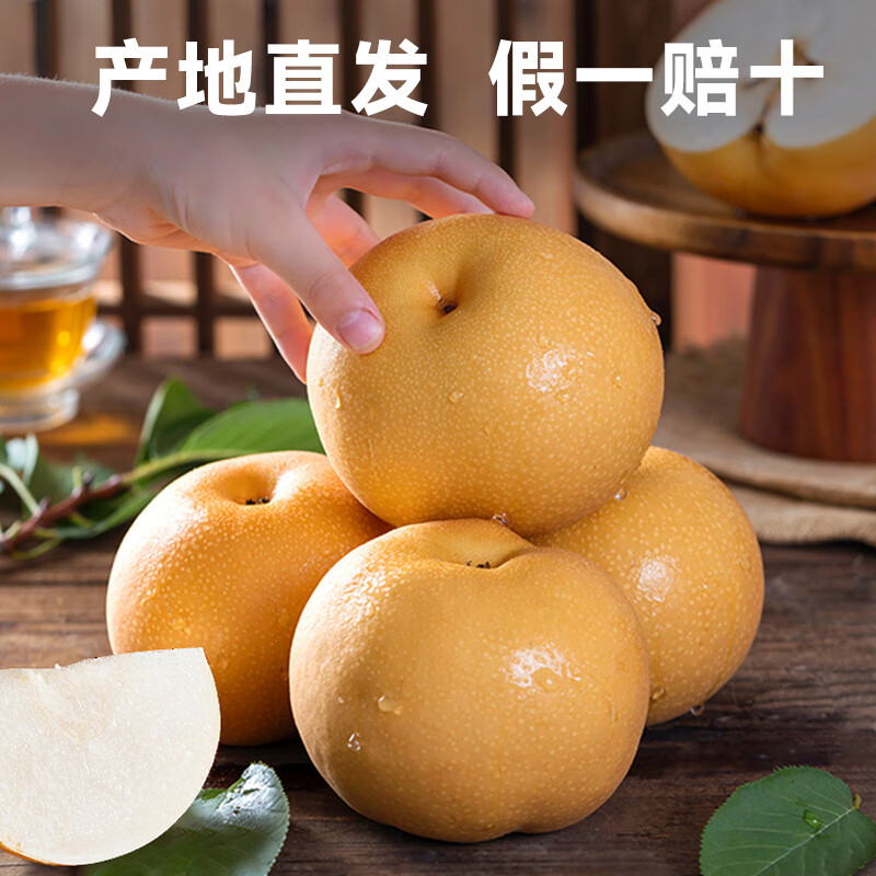 京橙美锦山东莱阳秋月梨新鲜水果梨子当季水果皮薄超甜雪梨特产礼物整箱 净重5斤果王【约5-7枚】