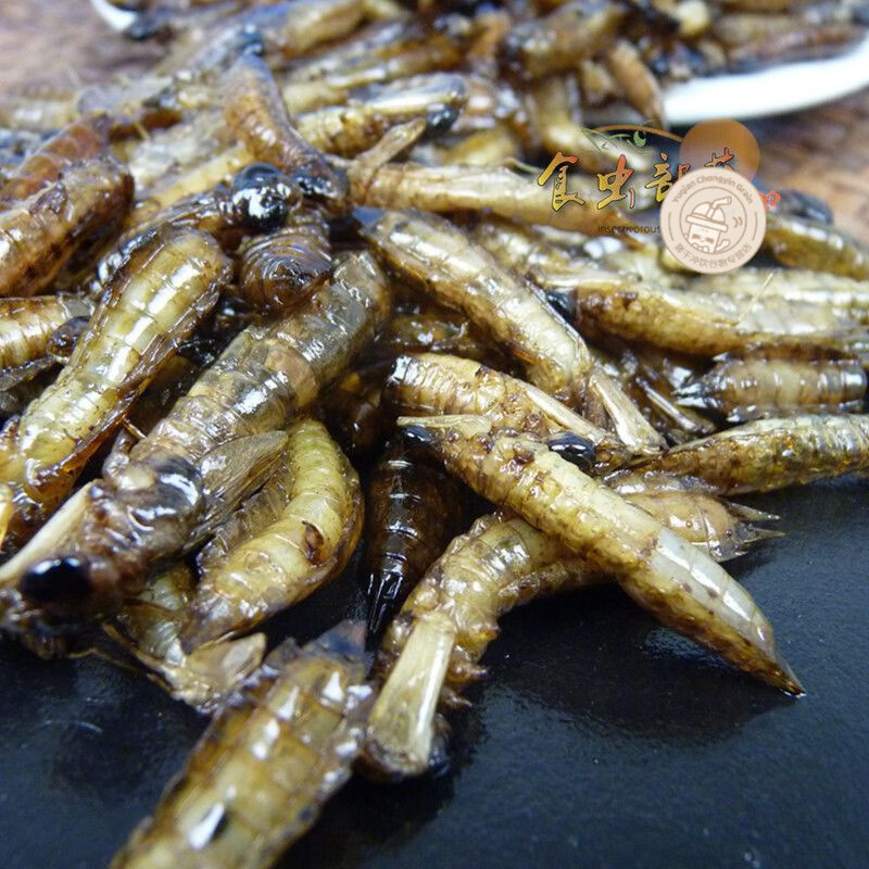 红允蜻蜓幼虫炸制长形水蜻蜓水蝎子长体现拍现炸马帮菜开袋即食 60克