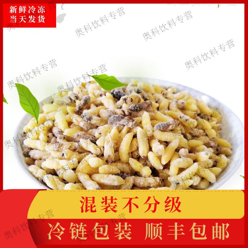 食怀深山一级野生马蜂蜂蛹500g新鲜冰冻油炸即食网红特产小吃蜂虫幼虫