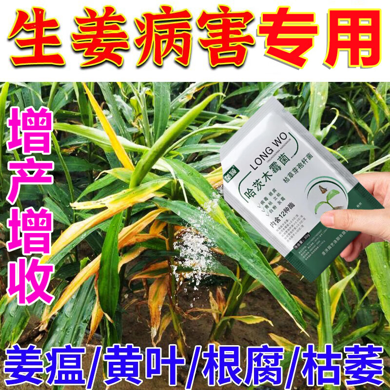 垄颖生姜病虫害专用肥生姜促生长生根壮苗抗病地下根茎