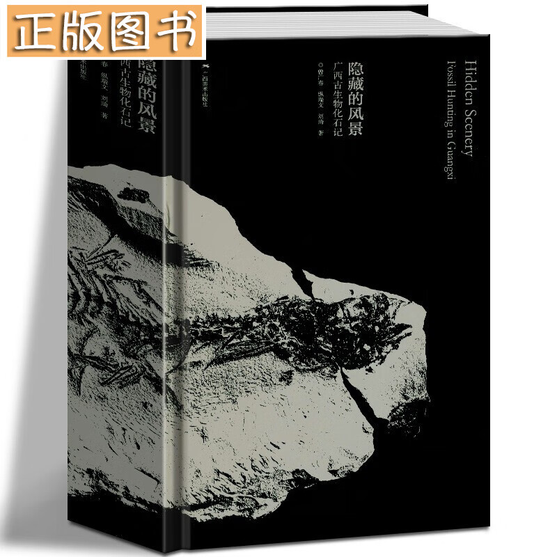 隐藏的风景广西古生物化石记 曾广春 著 广西美术出版社