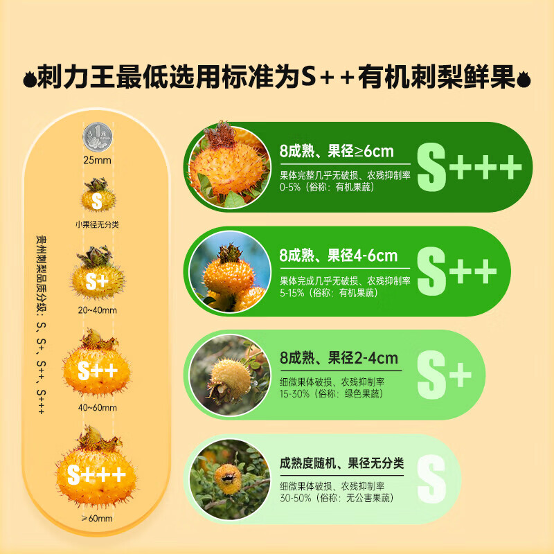 刺力王 刺梨汁无添加原汁原浆原液贵州富含VC果汁果蔬汁饮料饮品 2L盒装 2L简易自饮/家庭装