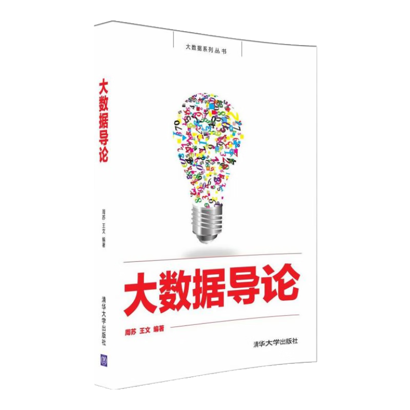 大数据导论/大数据系列丛书