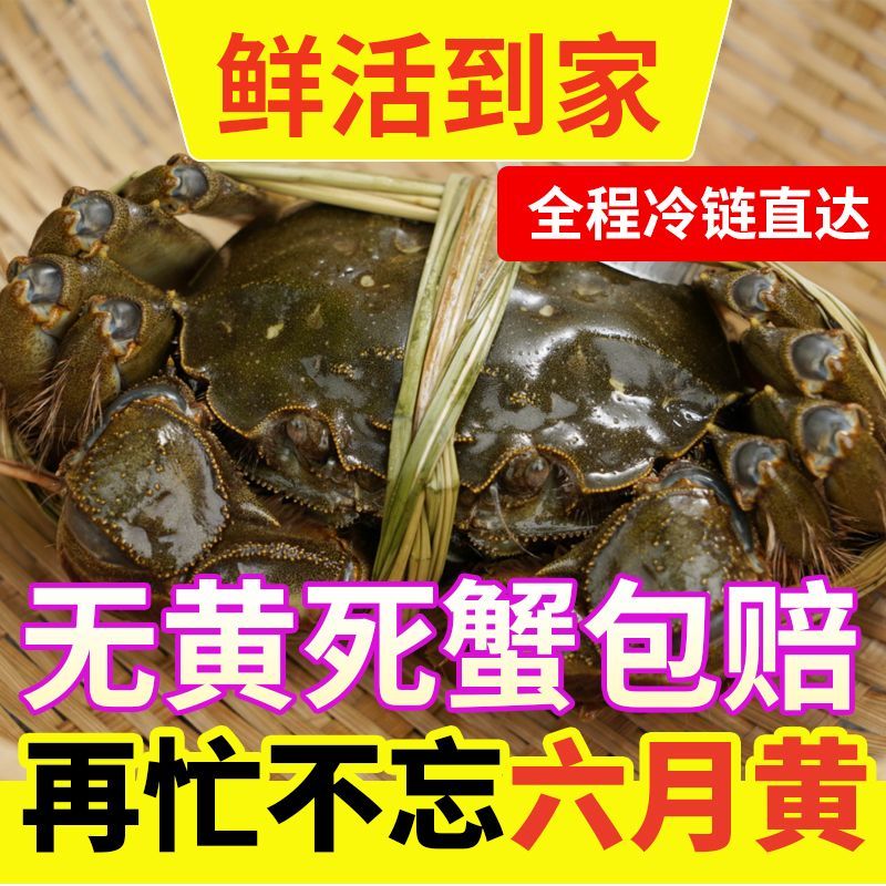 活蟹大闸蟹螃蟹鲜活公母特大红膏河蟹固城湖蟹六月黄8/10/12只装