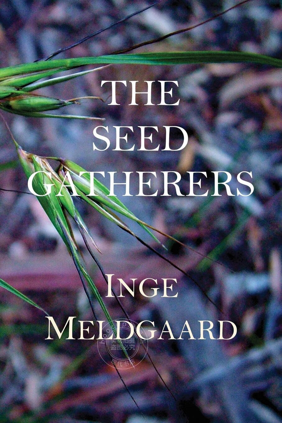 【2周达】【预售 按需印刷】the seed gatherers