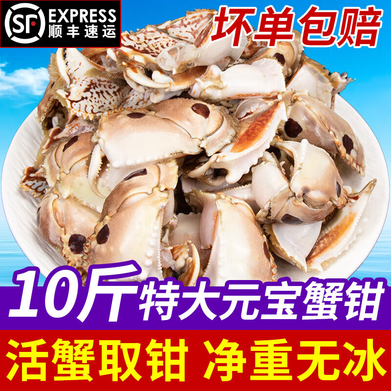 大号新鲜元宝蟹钳面包蟹脚馒头蟹腿海鲜冷冻水产商用批发 元宝蟹钳【顺丰直发】 5斤