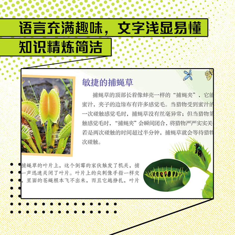 自然博物 中小学植物趣味百科课外阅读 图说天下博物地球精装版详情图