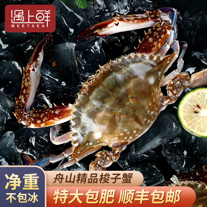 遇上鲜舟山梭子蟹螃蟹鲜活冷冻大白蟹公蟹海鲜水产海蟹飞蟹白蟹 3-4两