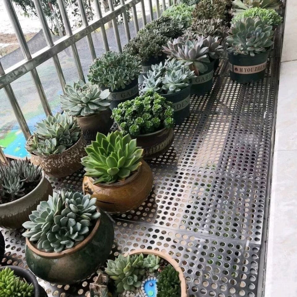 维诺亚成都定制防盗窗304不锈钢防护栏飘窗阳台护栏儿童安全窗户防盗网 主图款式