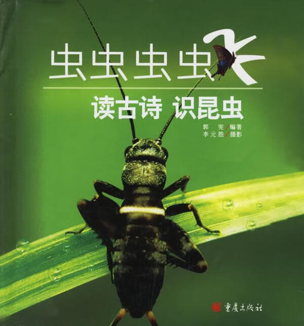 虫虫虫虫飞:读古诗,识昆虫【稀缺图书,放心购买】