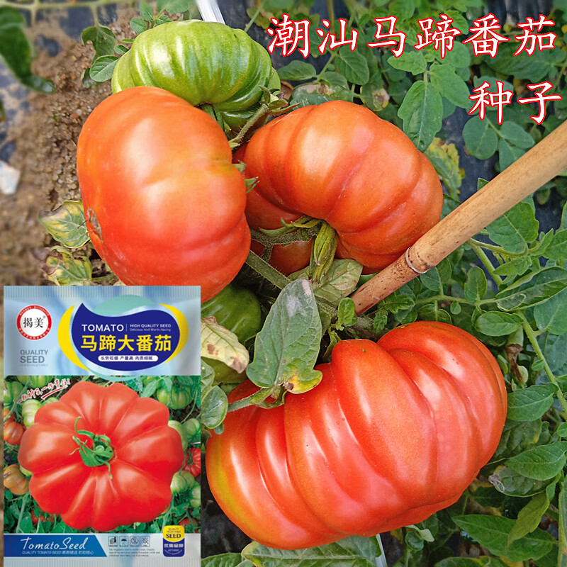 ���� �����������㷬������ ���������� ͥԺ��԰���ַ����߲����� ԭ����װԼ200�� 13Ԫ