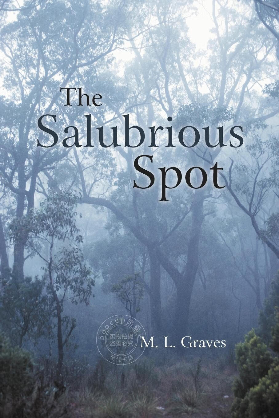 【2周达】预售 按需印刷the salubrious spot