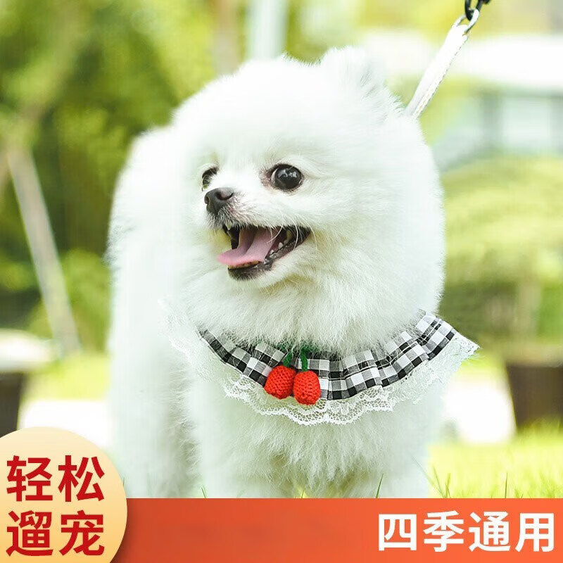 拉维佩特（LOVINGPET） 狗狗牵引绳胸背带 泰迪狗绳子可调节幼犬牵引绳小型犬遛狗绳子 蓝色 M 7-15斤左右 胸围35-60cm