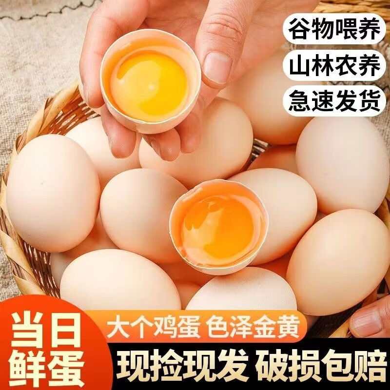 我老家10枚農(nóng)家散養(yǎng)土雞蛋鮮雞蛋笨雞蛋柴雞蛋當(dāng)日鮮品質(zhì)蛋 單枚49g左右10枚 高山散養(yǎng)土雞蛋