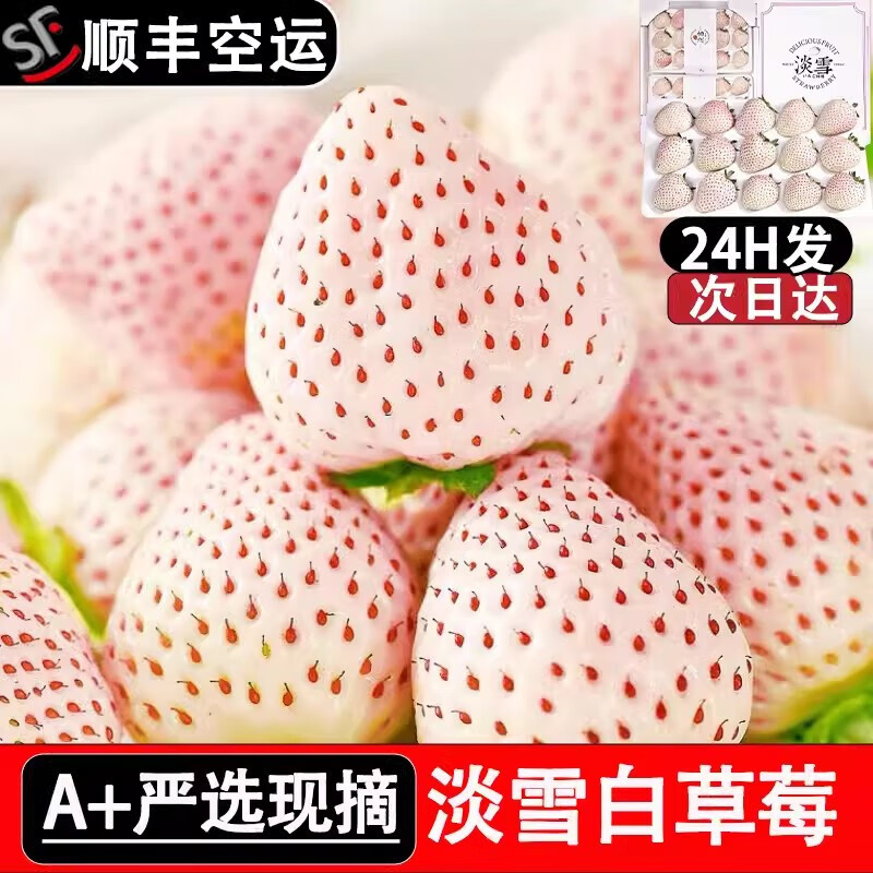东方玘缘山东淡雪白草莓1斤2盒装 白粉色草莓单果12+ 新鲜水果节日礼品