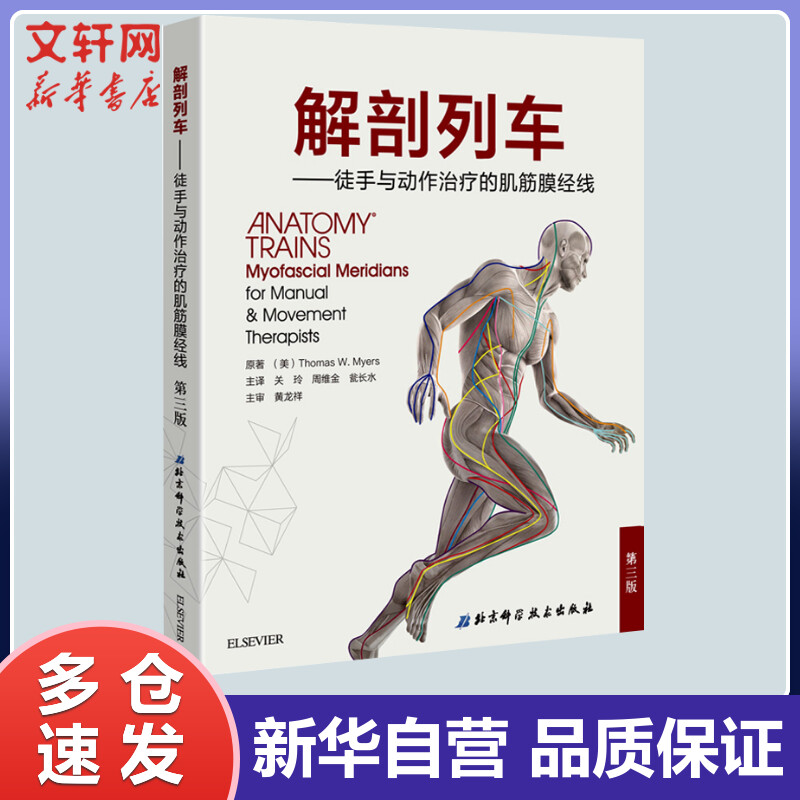 解剖列车 徒手与动作治疗的肌筋膜经线