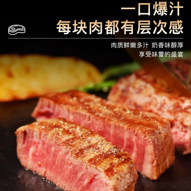 天莱香牛【冰鲜牛肉】国产安格斯菲力西冷上脑眼肉牛排 新疆牛肉 生鲜鲜肉 【冰鲜】安格斯菲力450g