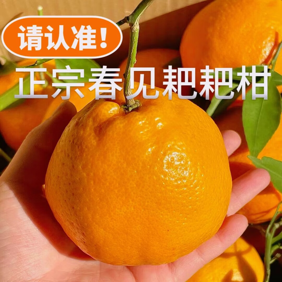 鲜宝道四川春见耙耙柑新鲜水果整箱 5斤特大果80-85mm+净重4.5 京东折扣/优惠券