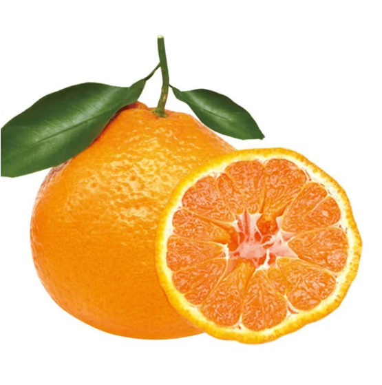 勇者无惧四川春见耙耙柑 新鲜应季爆浆爆汁纯甜柑橘整箱装年货水果礼盒 甄选果净重8斤单果80mm+