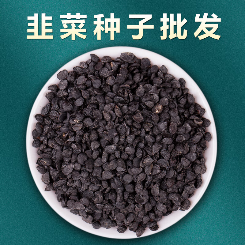 韭菜种籽韭菜种子韭菜籽种韭菜种植根香宽叶四季紫根韭菜蔬菜 韭菜