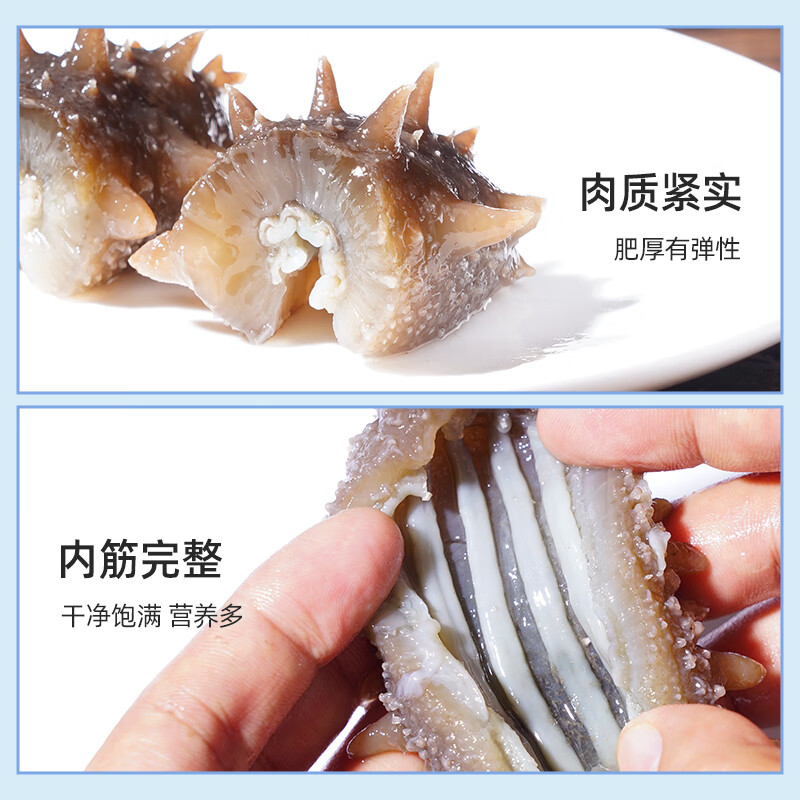 参王朝 大连即食海参 1500g 固形物80%以上 21-30头 辽刺参礼盒