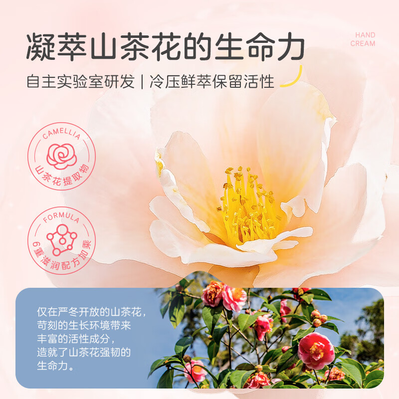 小浣熊儿童清润保湿护手霜滋润保湿嫩肤补水宝宝护手霜 【5支】山茶花保湿清润护手霜40g