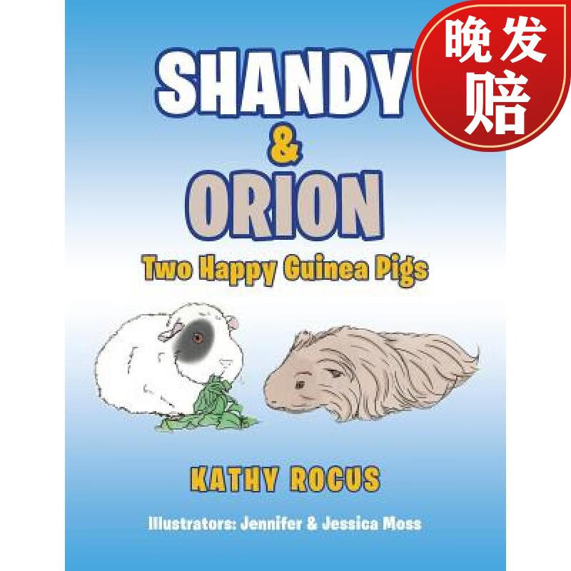 【4周达】shandy & orion: two happy guinea pigs