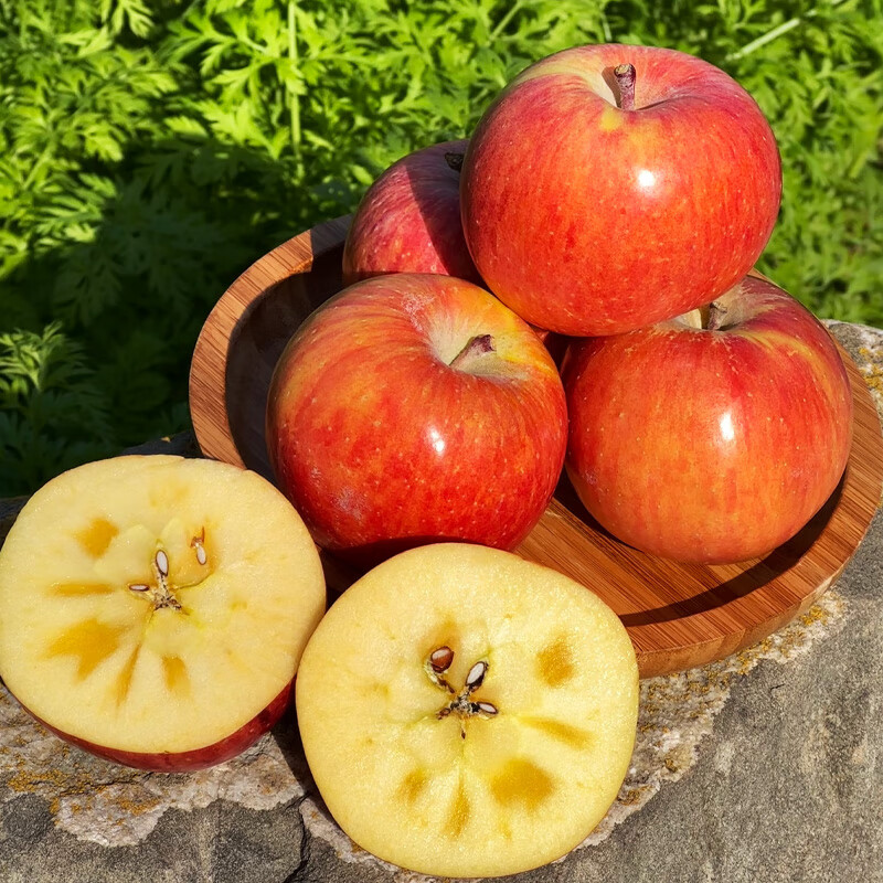 广供天下正宗新疆阿克苏红富士冰糖心苹果 丑苹果 红富士 阳光果 单果70-80mm4枚约1.5斤