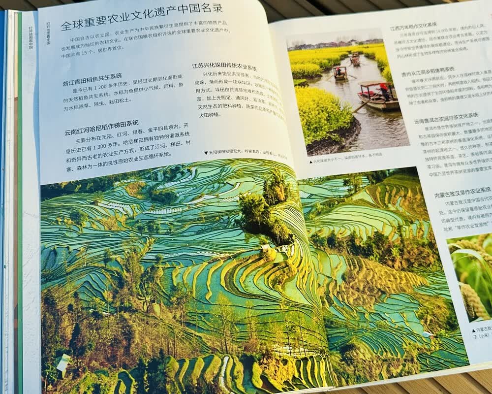 【珍藏版】打开地图看中国 抖音同款 送给孩子的地理科普百科矩阵 开怀畅游美丽国土 看中国地理奇观详情图