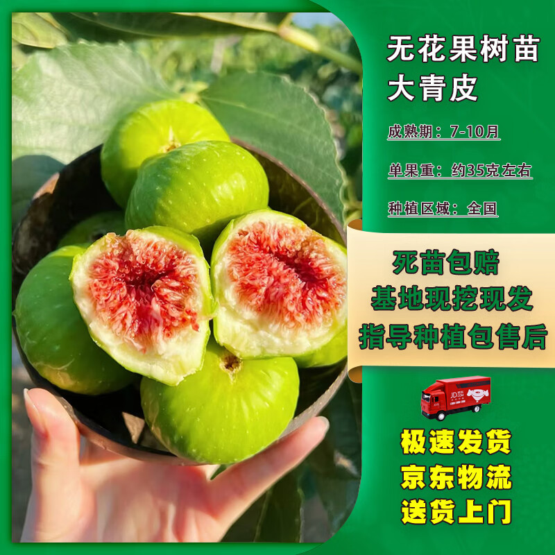 �����޻�������ˮ���統�����ļ��ش���ƤС��1-1.5����1��Դͷֱ��