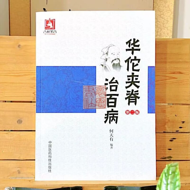 华佗夹脊治百病(第二版)何天有老中医 怀恩书社 y